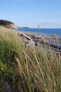 Ebey's Landing State Park