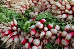 Radishes for sale at Honfleur's Saturday market