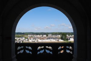 View from Chateau d'Amboise