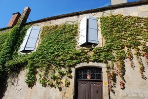 Ivy-clad building in Domme
