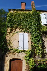 Ivy-clad building in Domme
