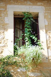 Window in Castelnaud 