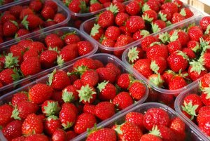 Delicious strawberries at the market in Sarlat