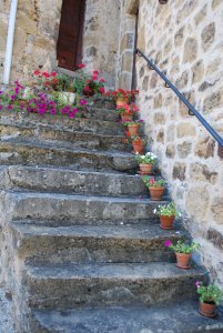 Flowers lining stairs in Autoire
