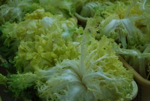 Lettuce at Arles Saturday Market