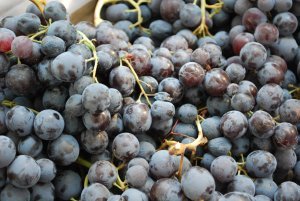 Grapes at Arles Saturday Market