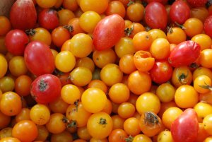 Small tomatoes at Arles Saturday Market