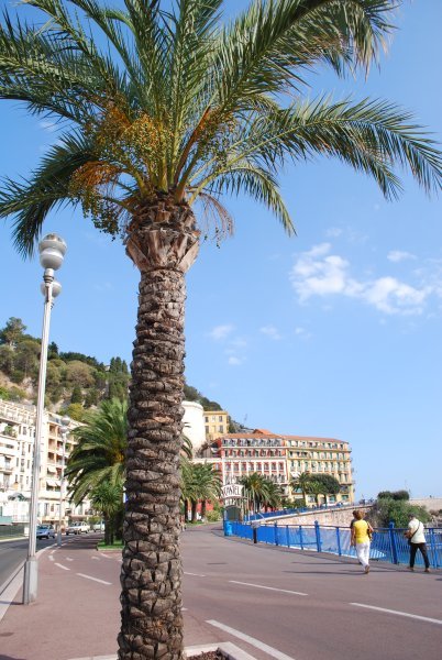 Promenade des Anglais of Nice
