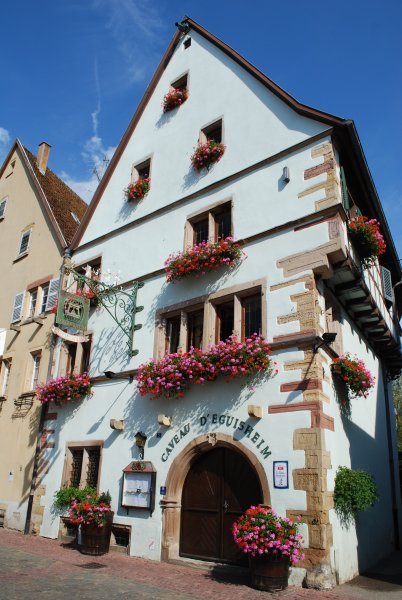 Blue building in Eguisheim