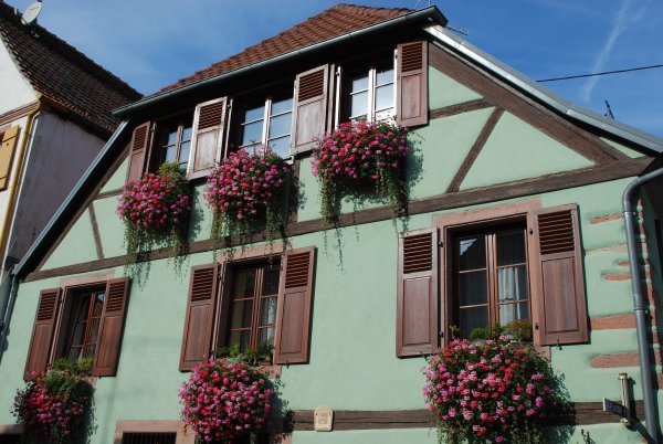 Beautiful green building in Ribeauville