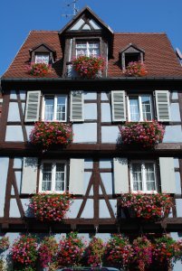 Flower-covered building in Colmar