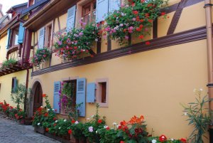 Yellow building in Eguisheim