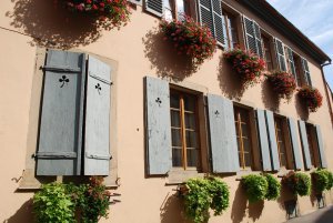 Flowerboxes in Eguisheim