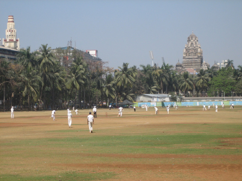 Park Cricket