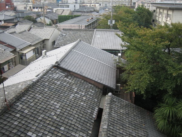 Traditional Rooves