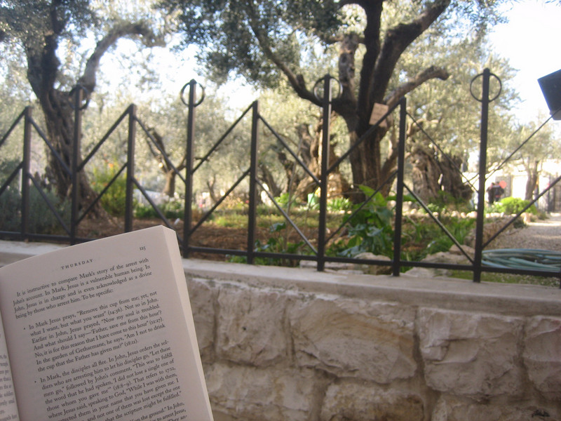 Reading in Gethsemane