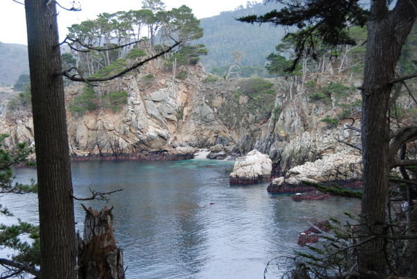 Point Lobos - en vild vig