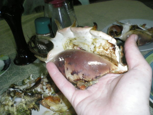 Weirdest shell fish I have ever eaten.