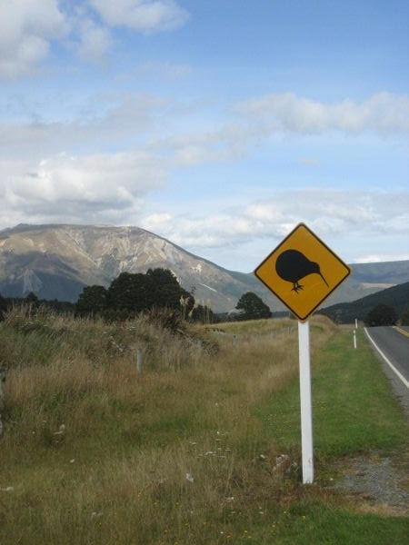 Kiwi country.