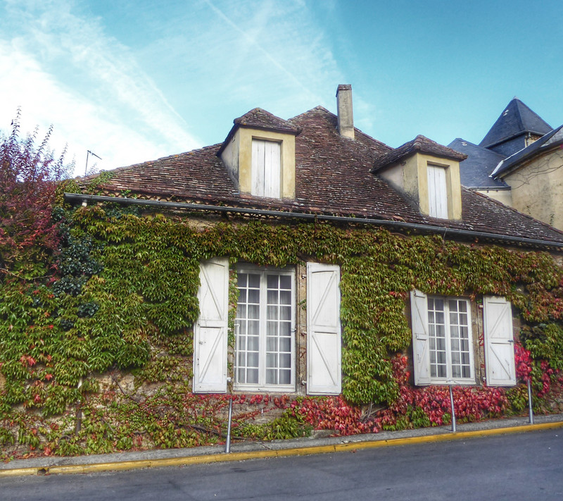 Ivy covered house in Sarlat