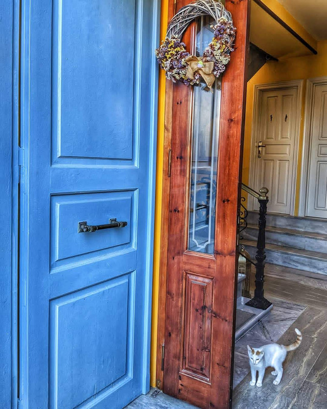 Blue doors and cats in Nafplio