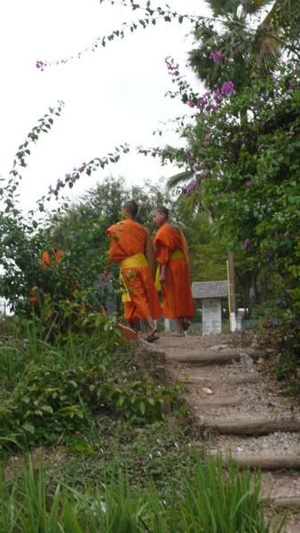 those elusive monks