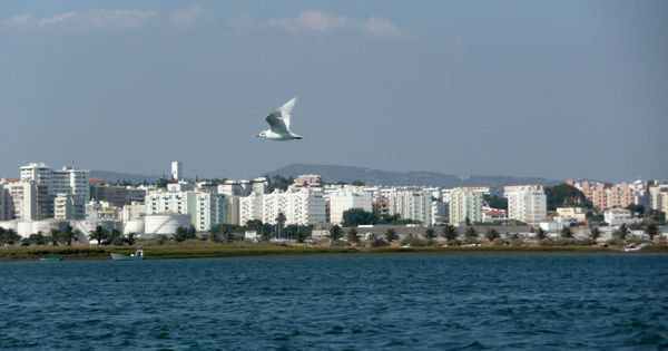 Faro from the sea