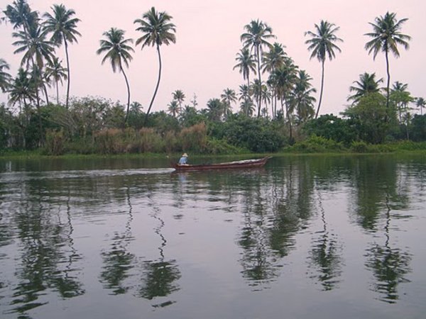 backwater trip around Kochin