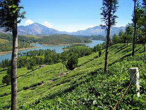 munnar