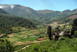 munnar