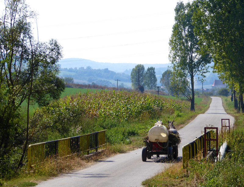 Country road on the way to Sighisoara