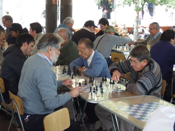 Schachspieler 