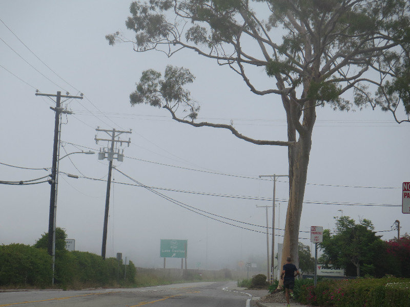 Kalifornische Morgen-Nebel-Stimmung