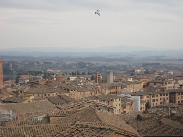 View from the top of the Museo di Duomo