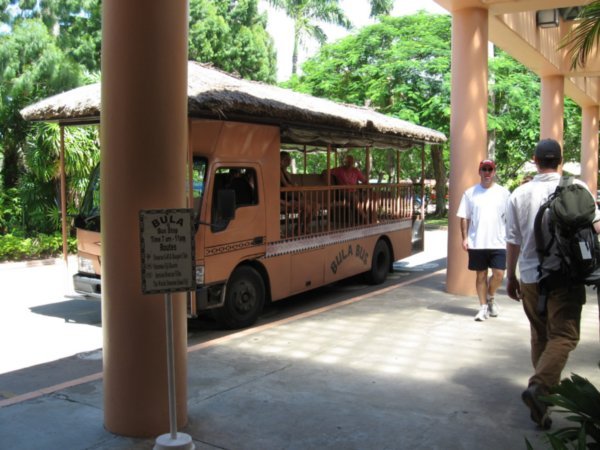 Bulla Bus