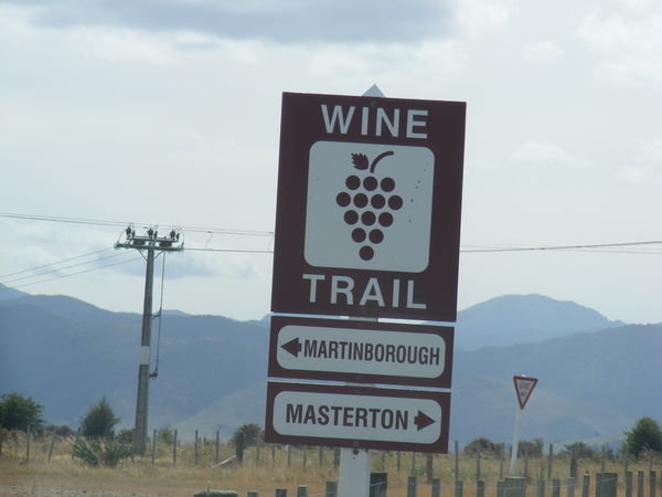 Wine Trail