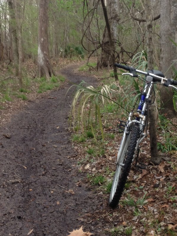 Bike trail in the park