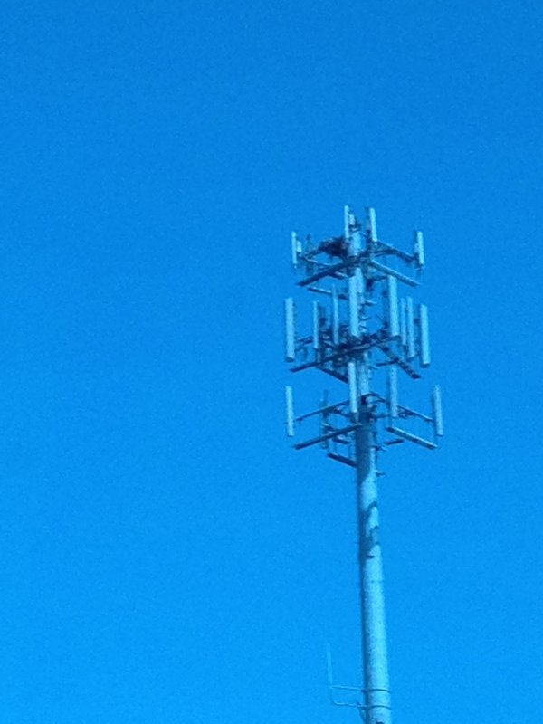 Giant Cell Towers Abound