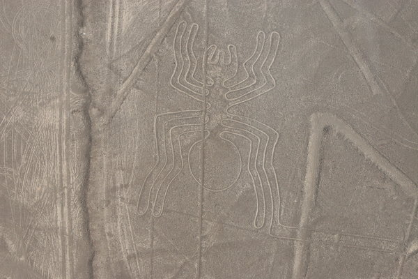 Nazca lines - the spider