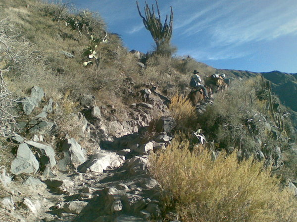 Climbing up the Colca canyon