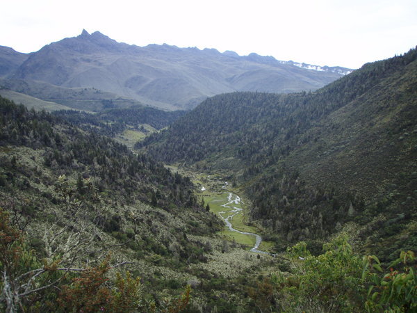 The green hills of the Andes near Merida