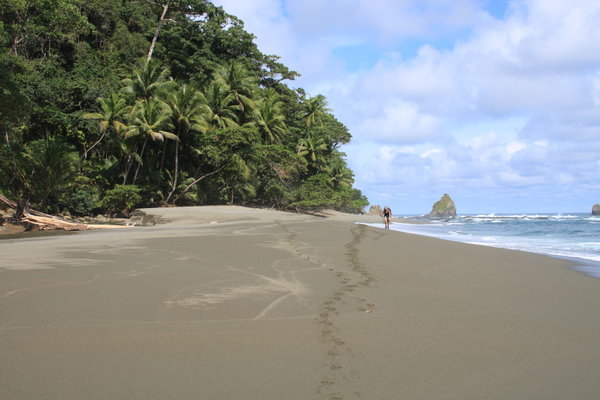Walking along the beach of Corcovado national park