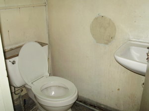 The new improved toilet