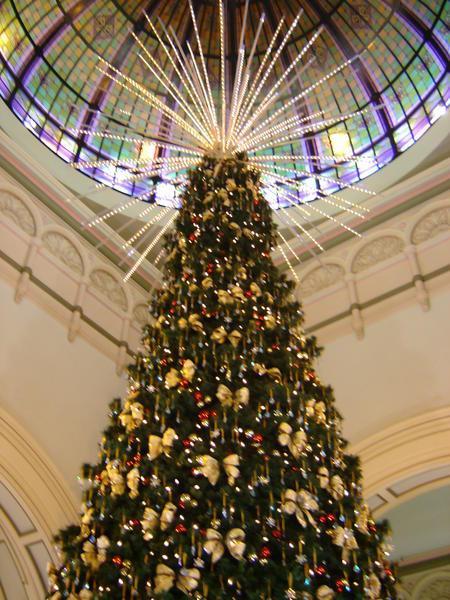 Cristmas Tree in Queen Victoria Building
