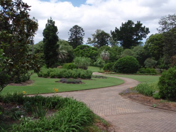 Brisbane Botanical Gardens