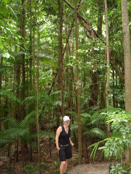 me and the rainforest