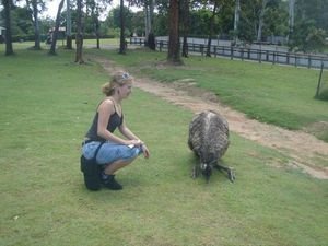 me and emu