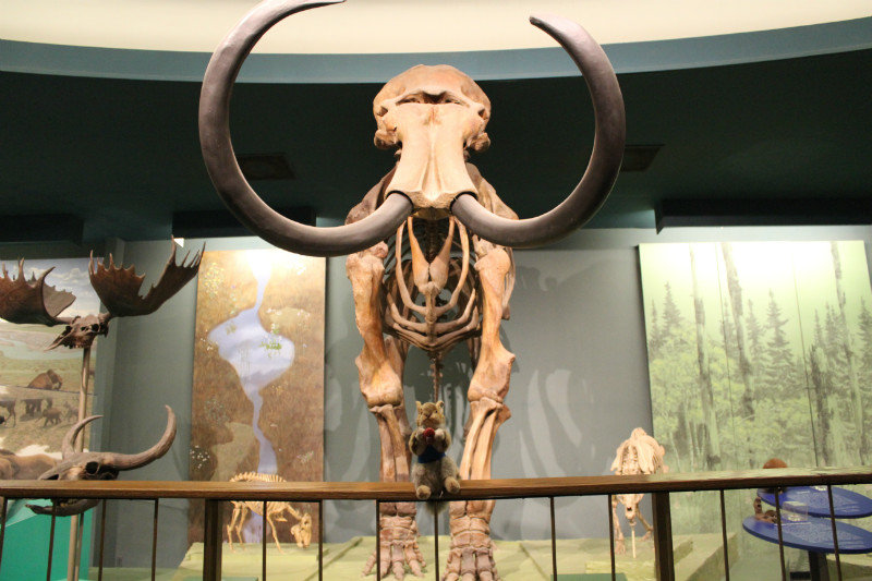 Natural History Museum - Washington DC