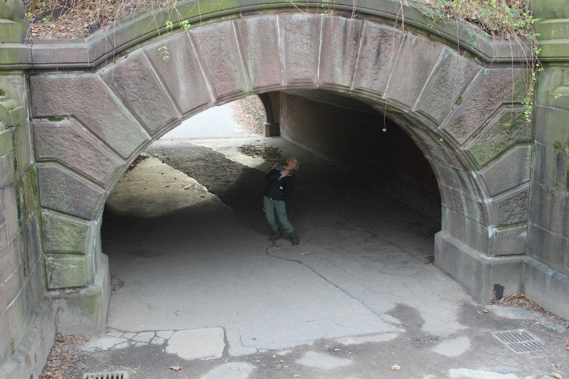 Those tunnels in Central Park