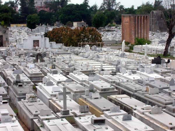 Necropolis de Colon